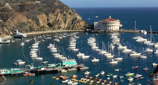 5 Unique Things To Do In Catalina