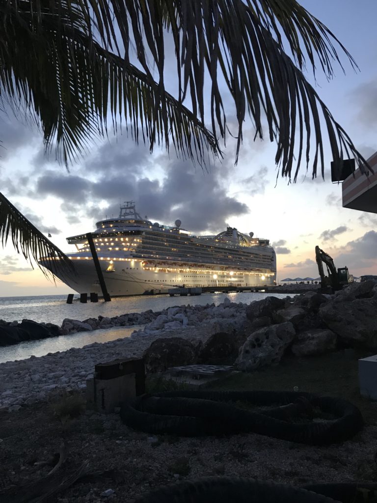 Princess Cruises Crown Princess