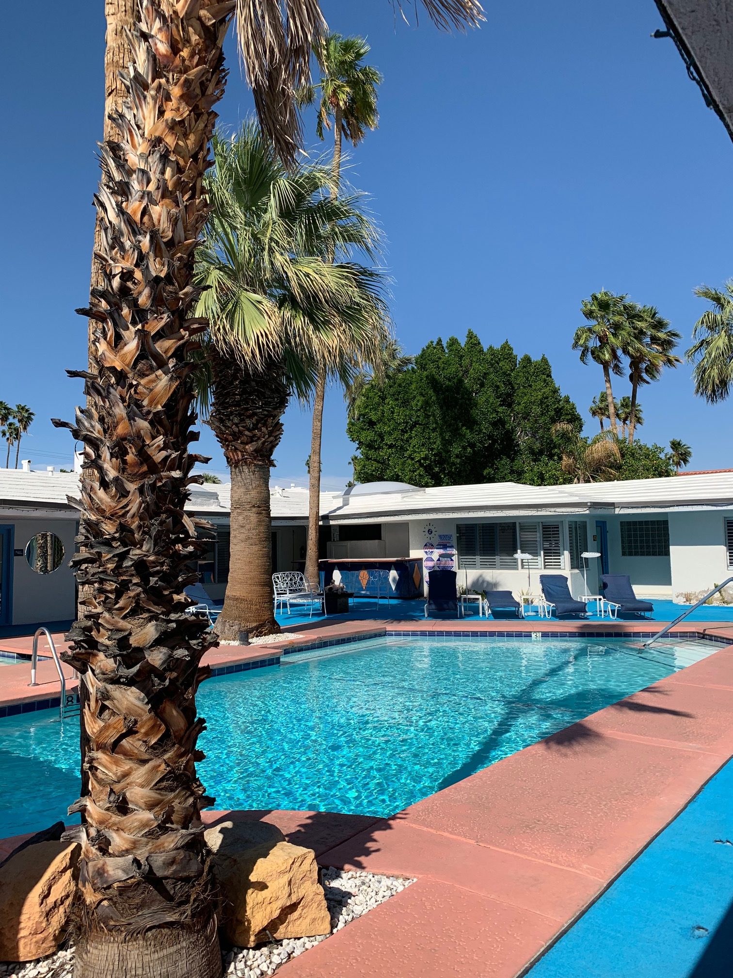 Revitalized Palm Springs Attracts Multi-Generational Visitors
